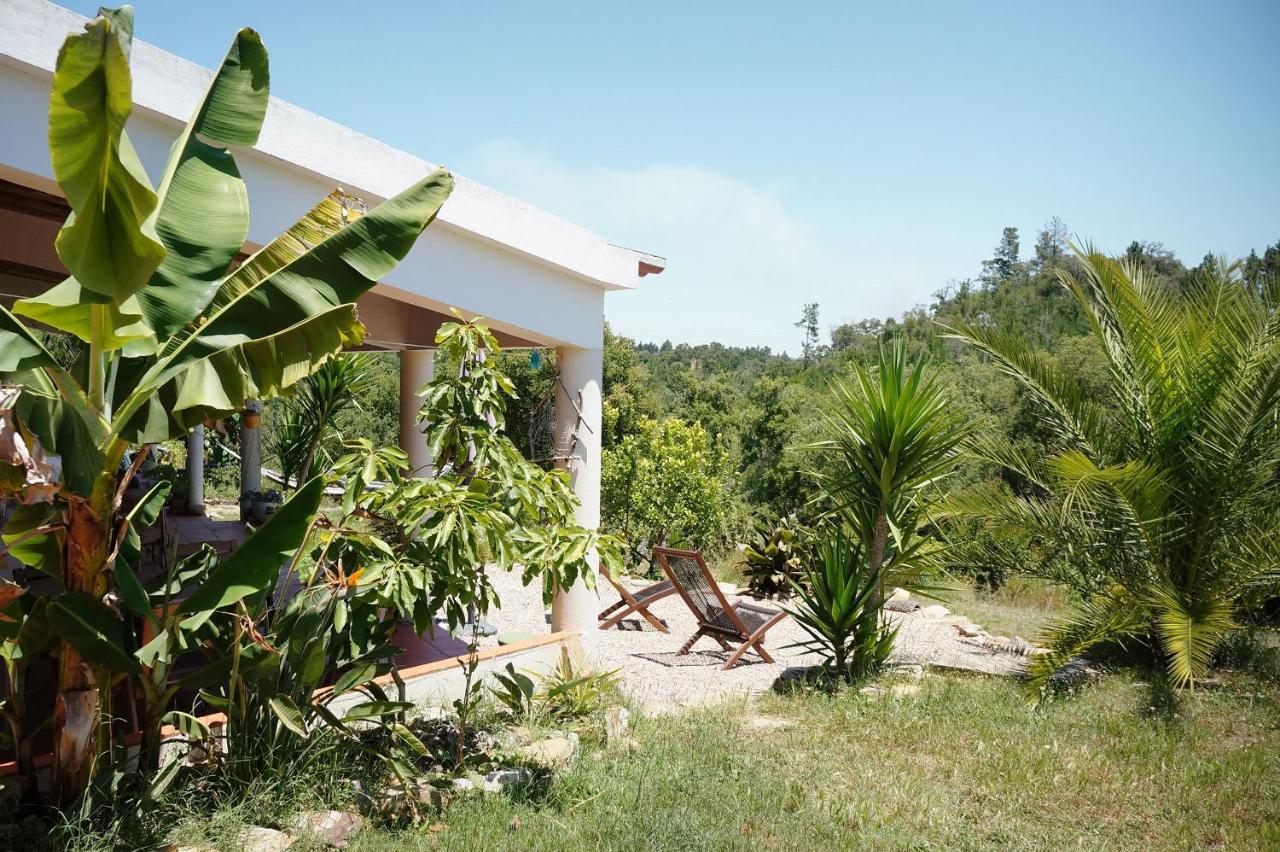 Moba - Monte Do Barranquinho * São Luís